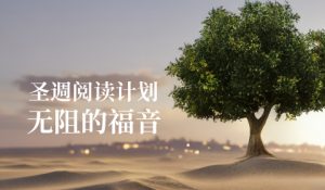 圣週阅读计划——无阻的福音