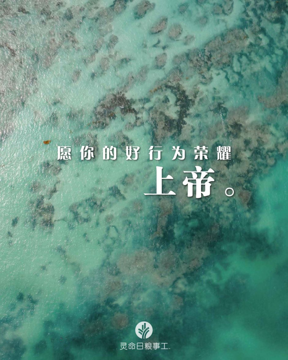 2026-04-01今日图片分享