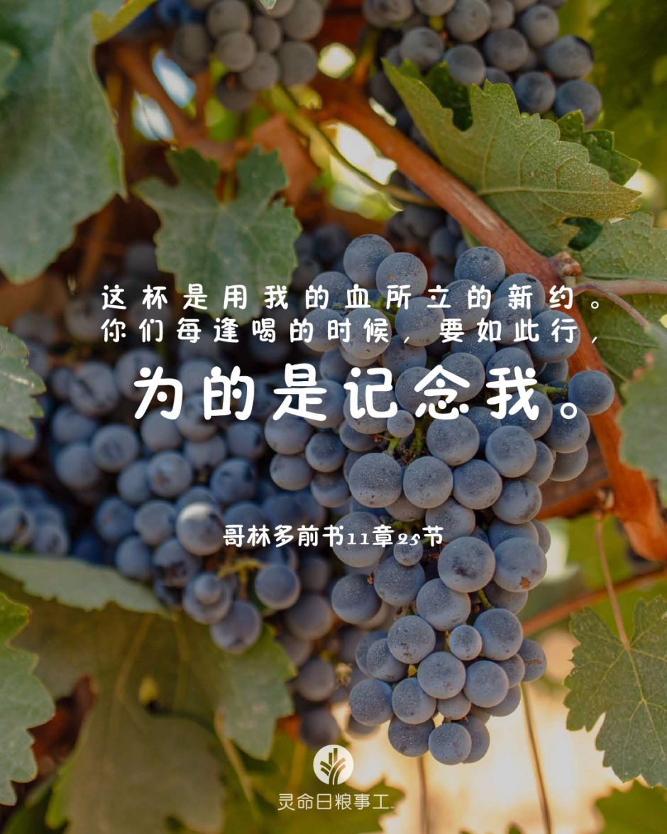 2026-04-02今日图片分享