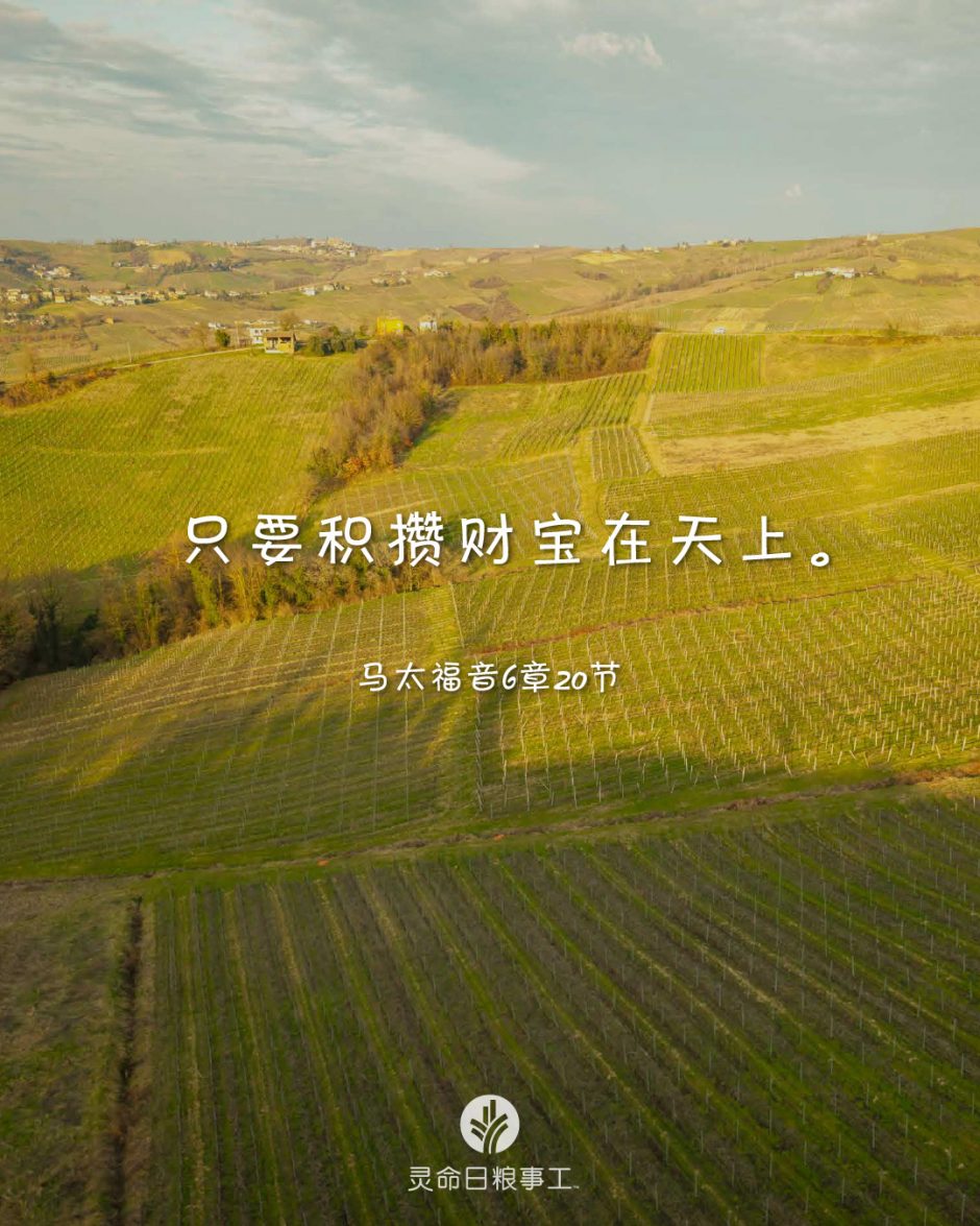 2026-04-04今日图片分享