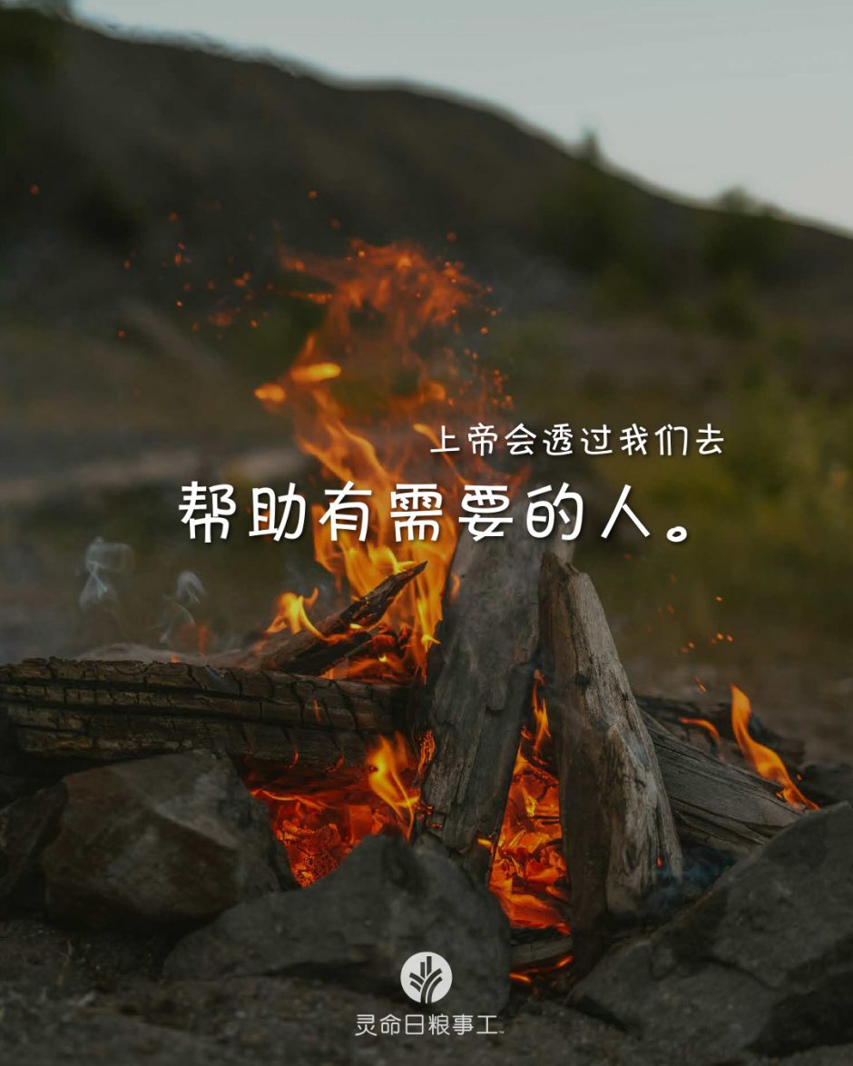 2026-05-31今日图片分享